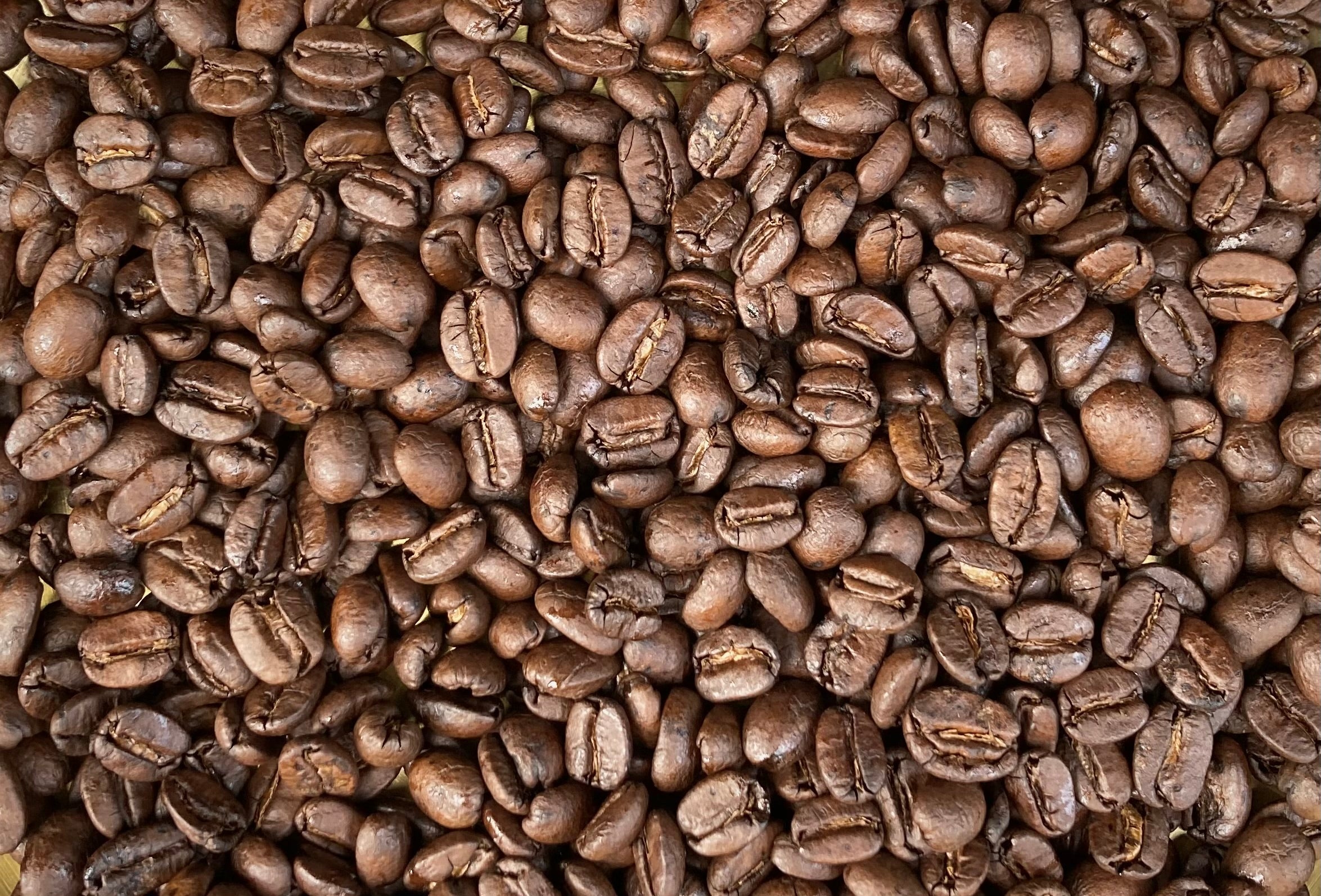 沖縄県産2024年収穫/中煎