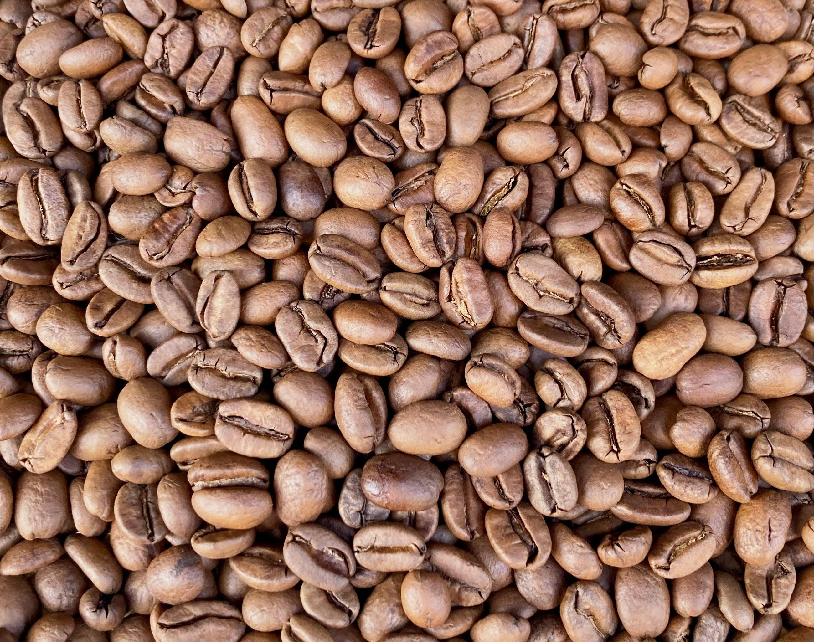 ハニーオレンジ/中煎/150g