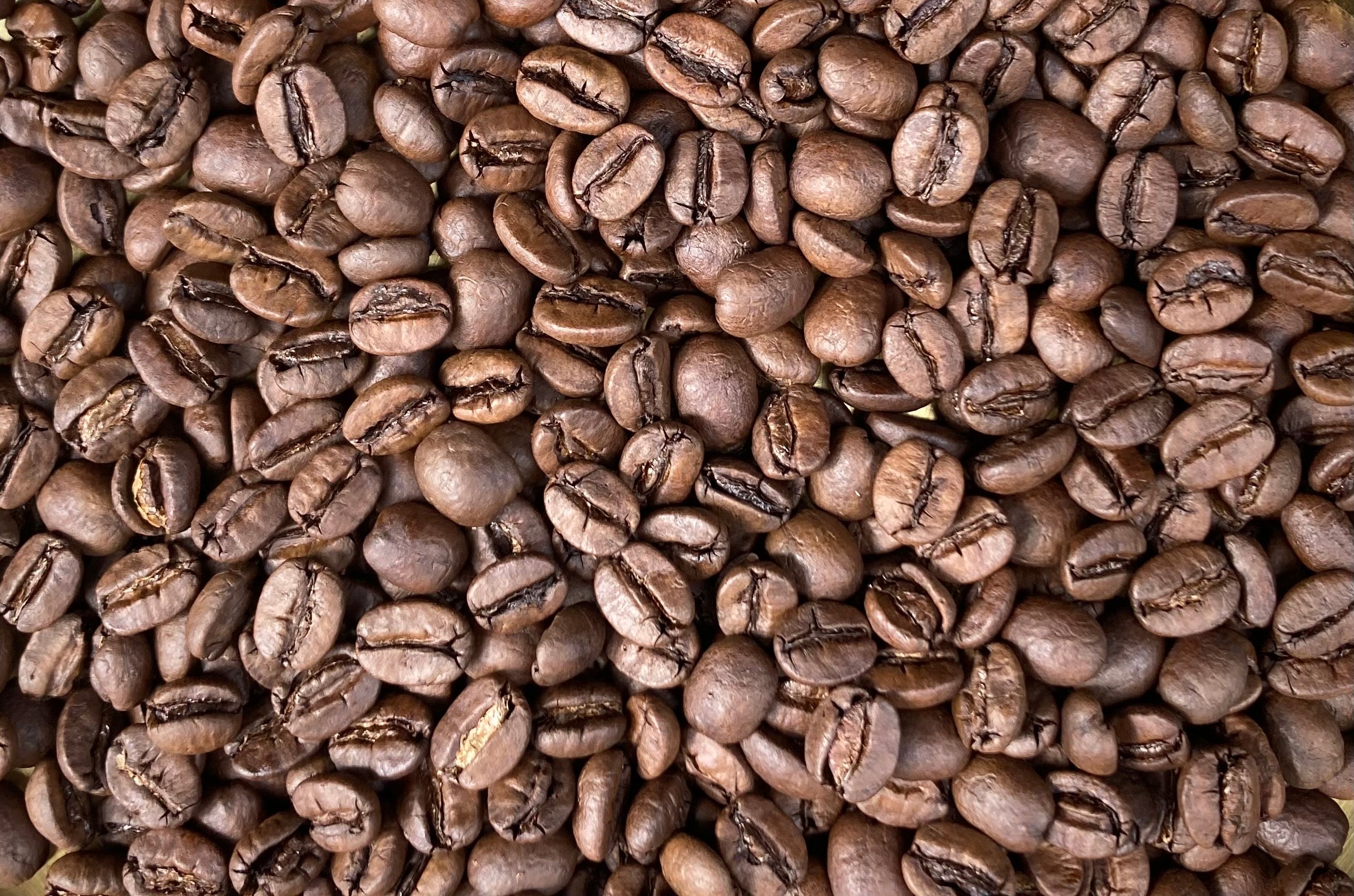 [Organic] Taiwan/Medium roast/50g