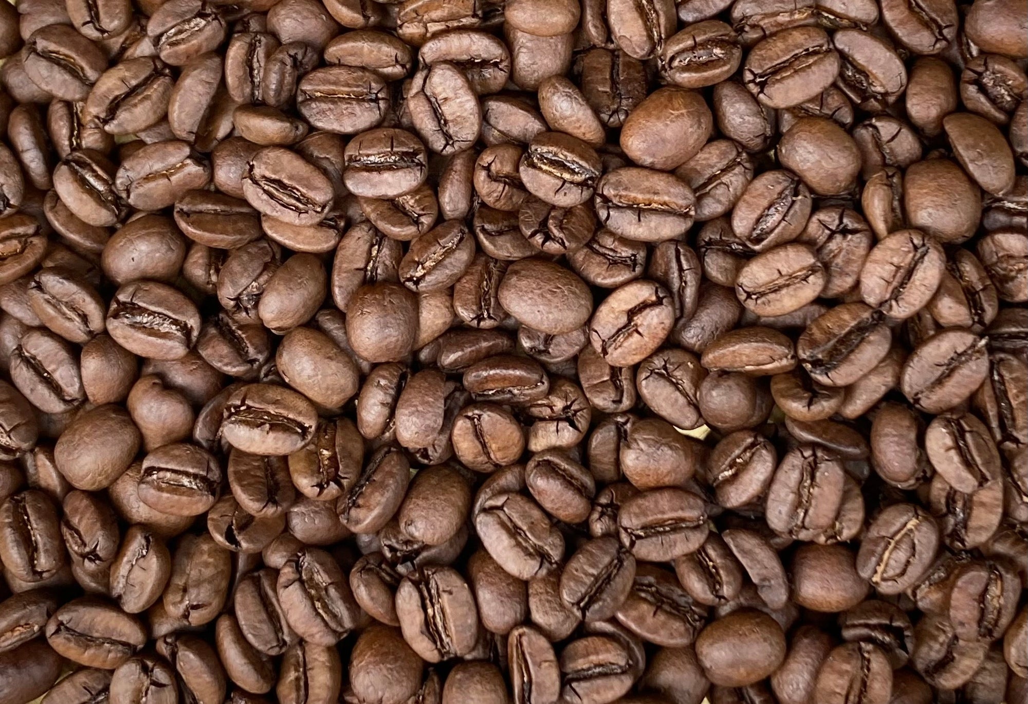 [Organic] Taiwan/Medium roast/100g